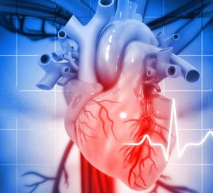 Damaged heart tissue may be repaired using a novel biomaterial