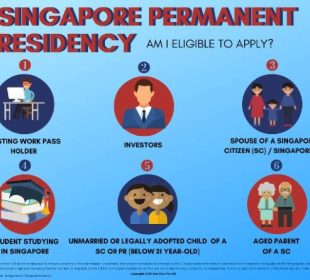 Navigating the Application Process for Singapore Permanent Residency